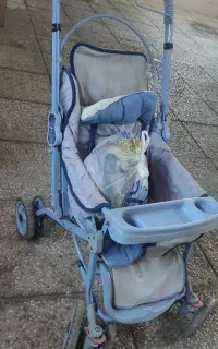 کالسکه و روروک