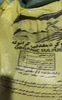 جو بذری