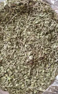 آویشن کوهی درجه یک یک