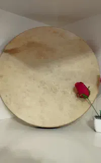 قاوال پوستی و طلقی