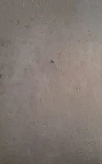 فروش سیم کارت دایمی ایرانسل