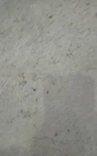 پلاسترزن ونرمه کشی