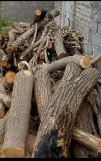 خریدار چوب