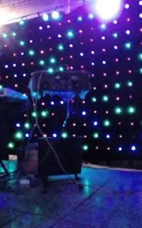 اجرای موسیقی زنده مجالس