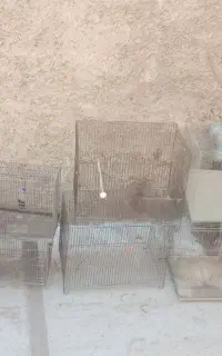 8قفس آهنی 1قفس چوبی طرح کلبه