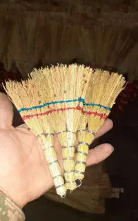 جارو نیم وجبی