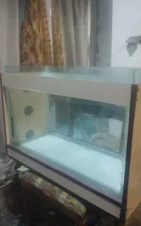 جایی آکواریوم 75*35