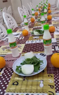 کربلا شهر عشق