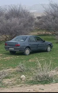 فروش پژو 405 glx مدل 95