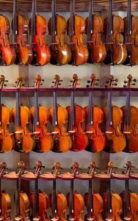 مرکز فروش ویولن OZEL