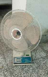 پنکه زمینی