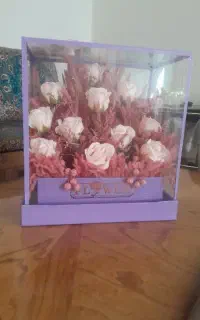 باکس وگل مصنوعی