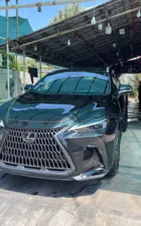 لکسوس مشکی nx350  2025 پلاک داعم منطقه ازاد انزلی