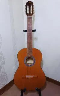 گیتار ورونا p500