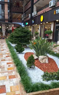 طراحی و اجرای فضای سبز