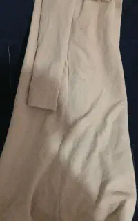 پالتوو
