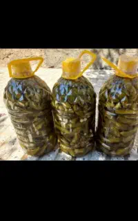 بطری خیارشور بزرگ