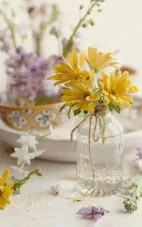 دارای  گلخانه طراحی و اجرا فضاسبز باغبانی هرس