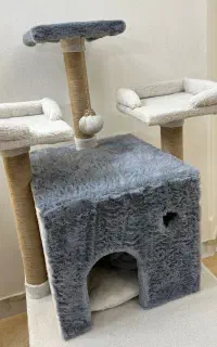 اسکرچر
