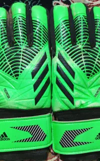 دسکش دروازهبانی