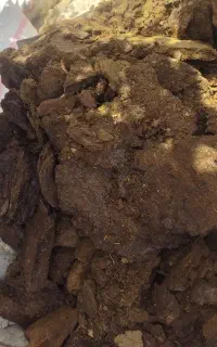 کود درجه یک‌ گاو ،گوسفند ،شتر و اسب