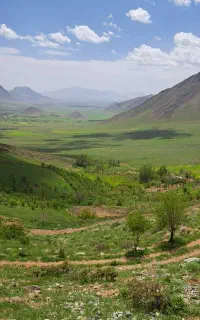 پیاده روی