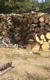 خرید چوب قیمت بالا