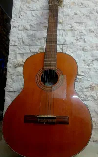 گیتار اصل فرناندز