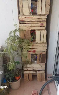 جعبه چوبی میوه