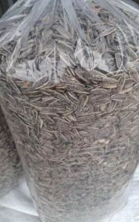 تخمه اقتصادی عمده