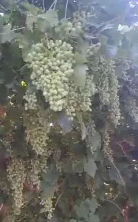 مشاوره تخصصی تمام محصولات