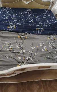 رویه تختی