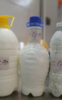 دوغ پرچرب با عرق نعنا و نمک دریا