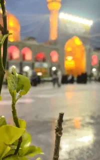 توجه پیش فروش  تور  مشهد مقدس ویژه آبان ماه