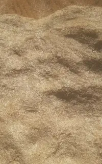 کاه گندم