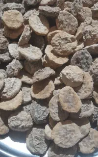 سلام وقت بخیر