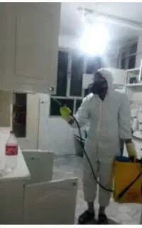 سم پاشی حشرات سوسک ساس کنه موریانه موش سمپاشی مگس
