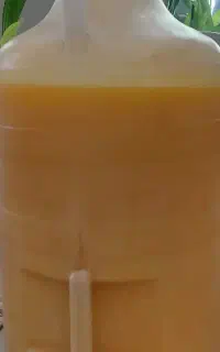 روعن حیوانی
