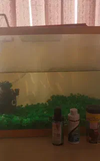 آکواریوم عرض 60طول 30با لوازم چمن دارو پمپ هوا