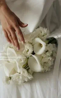 تصویربرداری و عکاسی عقد و عروسی