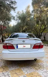 ماکسیما سفید مدل ۹۰