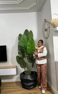 درختچه مصنوعی چیناز