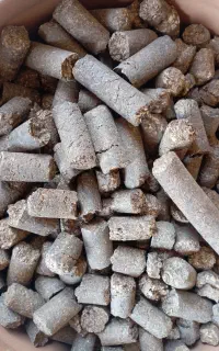 فروش خوراک دام