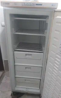 فریز مارک فیلور ۱۲ فوت