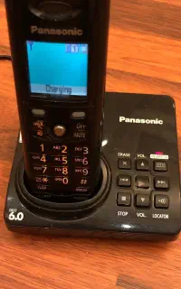 تلفن بی سیم پاناسونیک  KX-TG8231CB