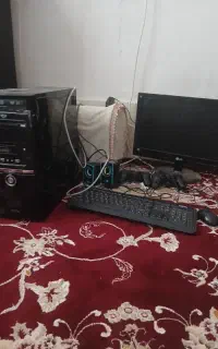 سایر