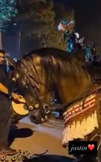 اسب نریان پسر کنز ناصر