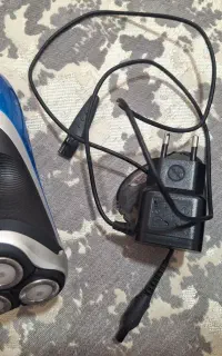 فلیپس اصلی هلندی