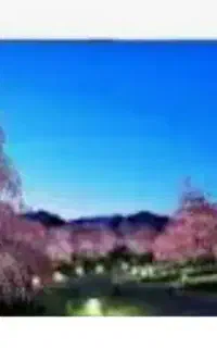 تی وی ۵۸ اینچ