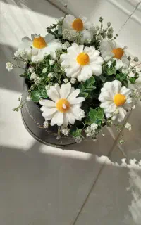 کادویی